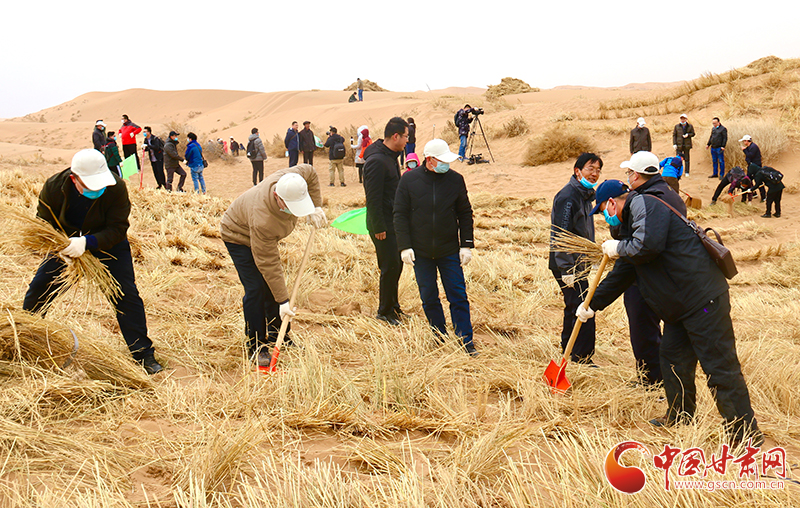 不“疫”樣的植樹節(jié)！甘肅省新聞戰(zhàn)線工作者攜手播綠“八步沙”（圖+視頻）