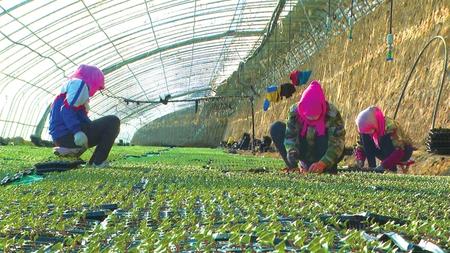 【抓實抓細(xì)疫情防控 精準(zhǔn)推進復(fù)工復(fù)產(chǎn)】解難題 穩(wěn)就業(yè) 保生產(chǎn) 促發(fā)展 ——永昌縣多舉措助推企業(yè)復(fù)工復(fù)產(chǎn)