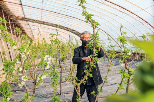 銅城復蘇：春光明媚，邀你共賞芳華（組圖）