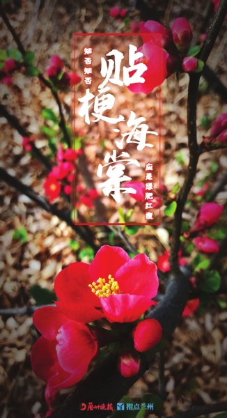 來，跟這些美美的花朵認識一下！