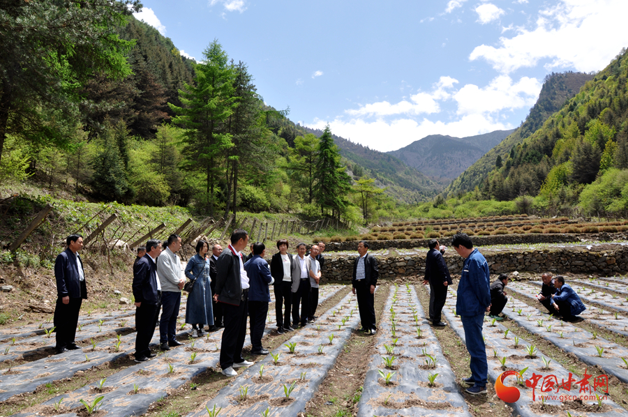 白龍江博峪河保護局開展產(chǎn)業(yè)發(fā)展、義務勞動成果現(xiàn)場觀摩交流活動
