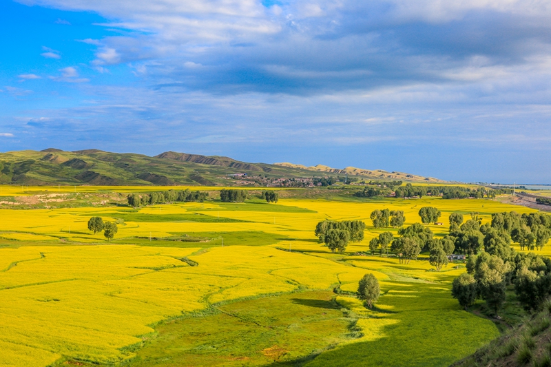 創(chuàng)意海報丨甘肅的美，你來了才知道