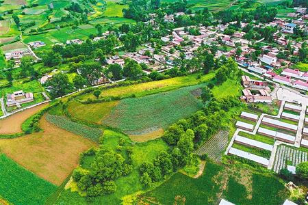 【溫暖的回響 滄桑巨變 飲水思源】這條路，通往幸福