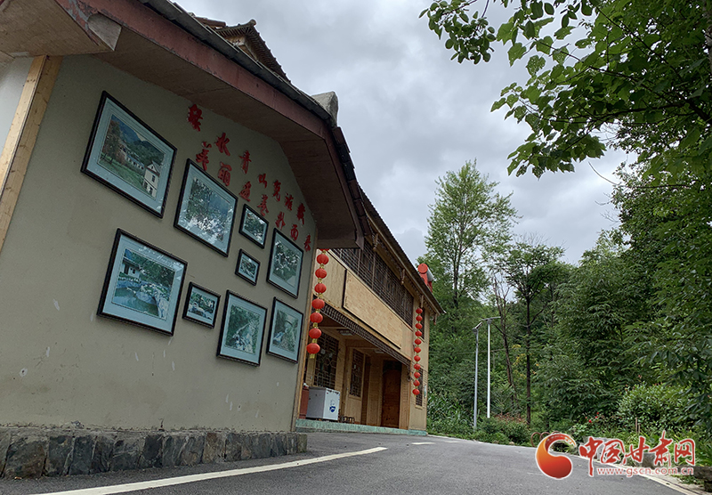 【走向我們的小康生活】村美、業(yè)興、民富……康縣何家莊描繪鄉(xiāng)村振興新畫卷（圖）