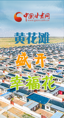 【跟著總書記看甘肅】長(zhǎng)圖|武威黃花灘盛開幸?；?