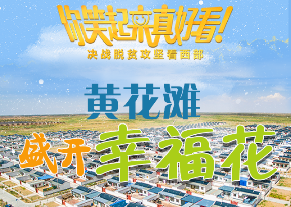 【你笑起來真好看】黃花灘盛開幸?；ǎ▓D解）