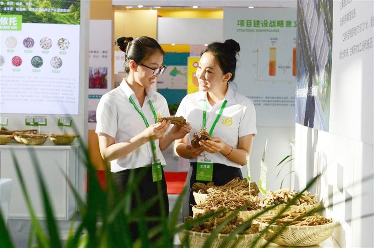 定西，從“千年藥鄉(xiāng)”邁向“中國藥都”