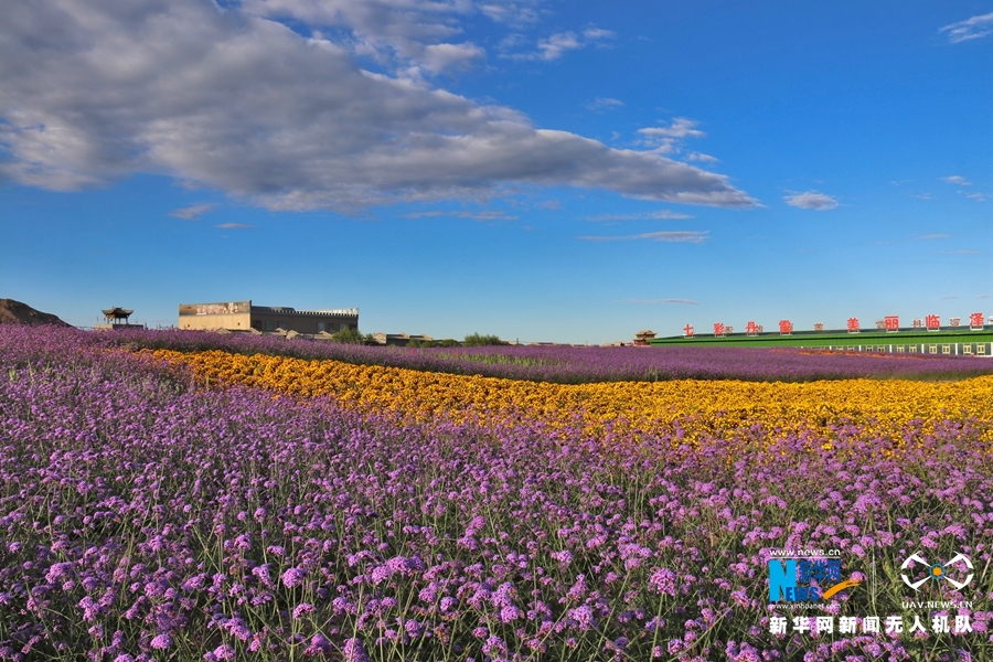 【“飛閱”中國(guó)】鳳凰花?！罢钩帷钡は伎?>
        </a><em>【“飛閱”中國(guó)】鳳凰花?！罢钩帷钡は伎?/em></li>
    <li><a  target=