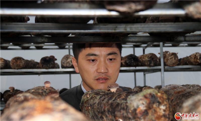 110年！何家溝村終于有了集體經(jīng)濟——中建二局黨建結(jié)對幫扶成效顯著