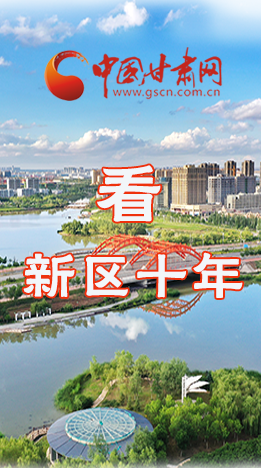 圖解|崛起！新區(qū)十年