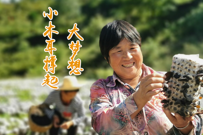 海報(bào)丨他們，乘“豐”破浪！