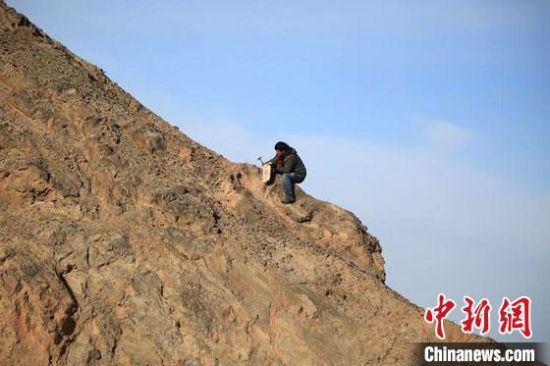 圖為敦煌“80后”畫家張杰龍在敦煌三危山里采集礦石顏料。(資料圖)受訪者供圖