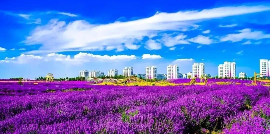 喜訊！金昌蟬聯(lián)全國文明城市