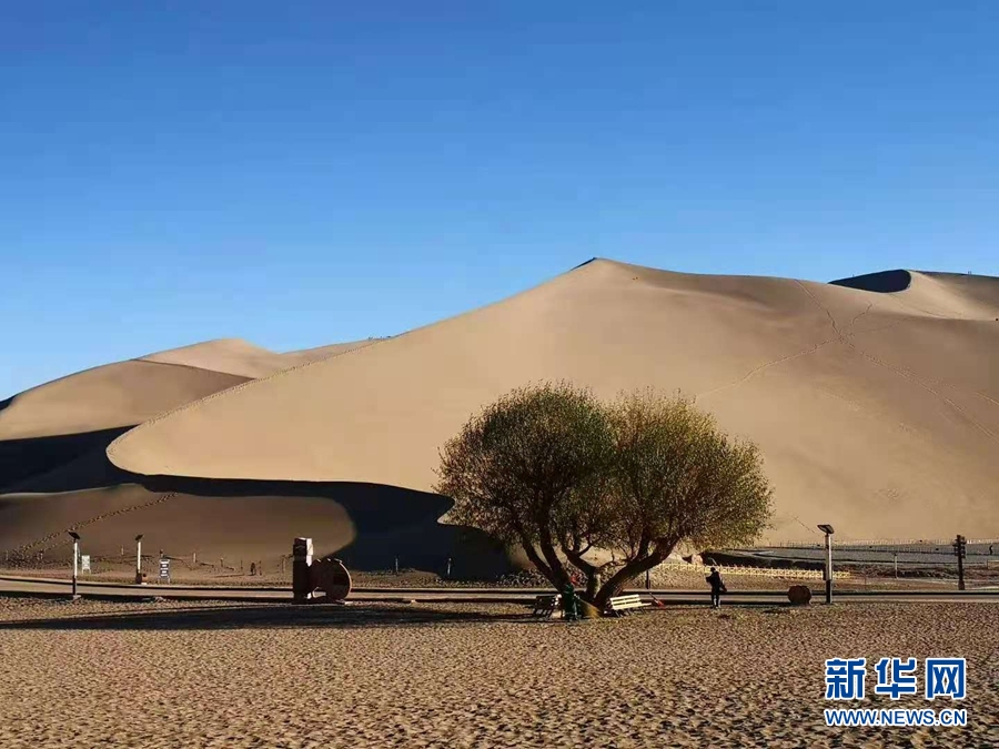 【大美甘肅】冬日鳴沙山月牙泉風情別樣