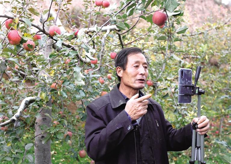 隴南禮縣蘋(píng)果5分鐘賣(mài)出1.3萬(wàn)斤