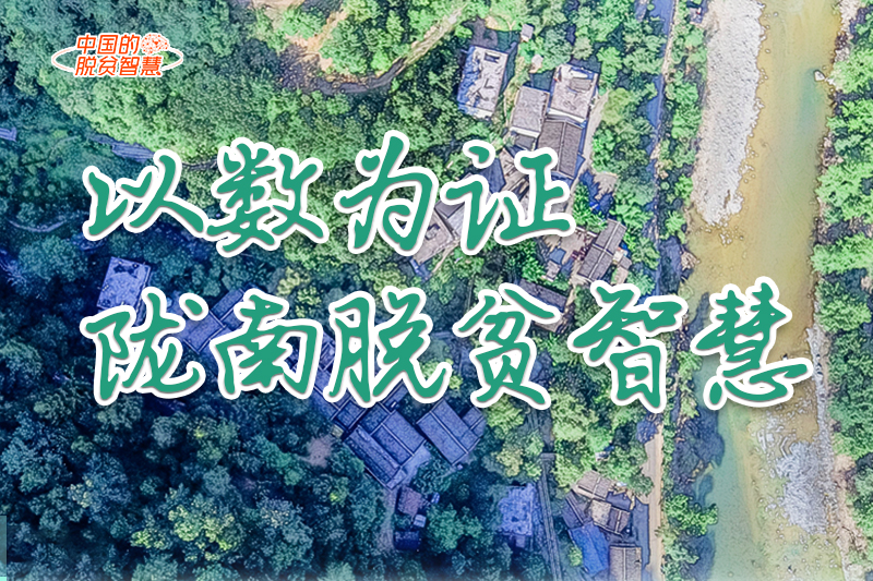 【中國(guó)的脫貧智慧】以數(shù)為證！隴南脫貧智慧來(lái)了！