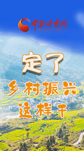 圖解|定了！全面推進(jìn)鄉(xiāng)村振興這樣干！