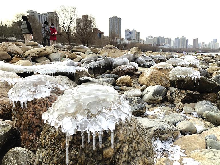 蘭州：水母上河灘？