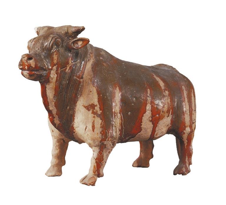 打開(kāi)眼界丨牛年看牛，越看越牛!