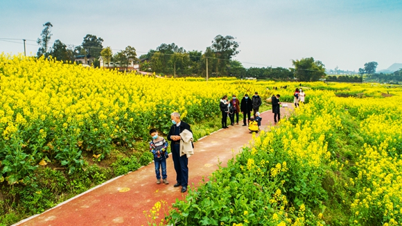 游客在花海里踏青。廖濤 攝