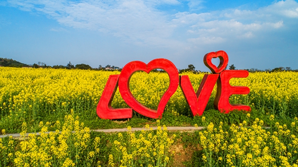 “l(fā)ove”創(chuàng)意拍照墻。廖濤 攝