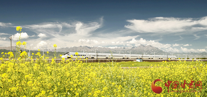 坐上火車“邂逅”春天，你可以這樣享“鐵路游”