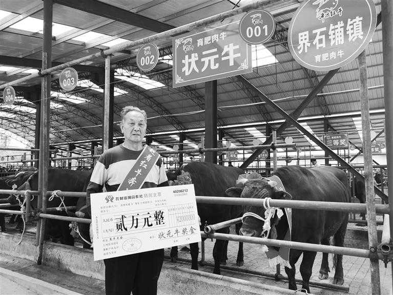 120頭“平?jīng)黾t?！膘o寧爭霸