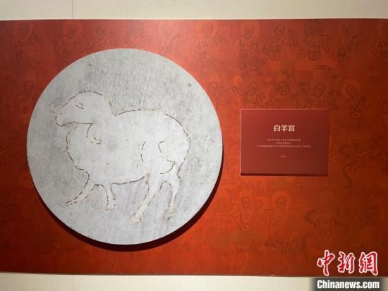 圖為展覽現(xiàn)場?！〗瓧顭?攝