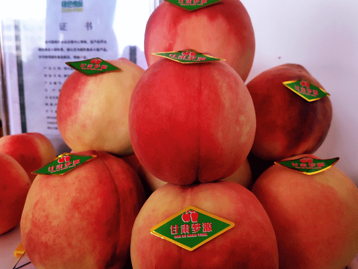 【厚道甘肅 地道甘味】“甘味”吹響集結(jié)號(hào) 走南闖北打市場