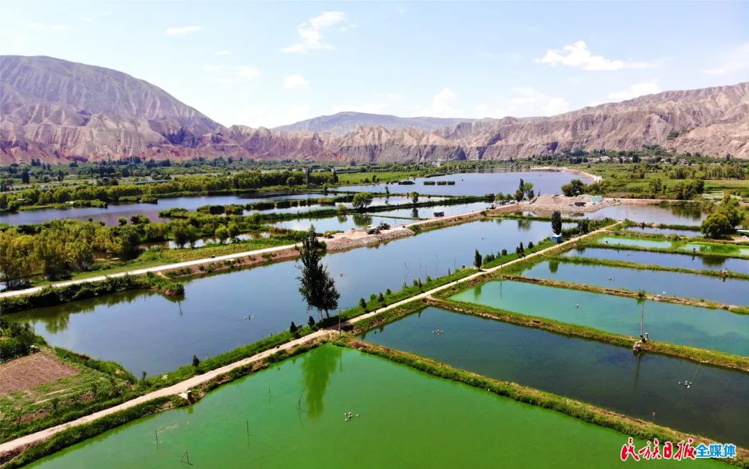 一秒入畫(huà)！太極島濕地風(fēng)光秀麗