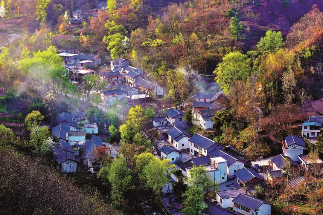 久久為功磨一劍 貧困山鄉(xiāng)綻新顏 --美麗鄉(xiāng)村建設“康縣探索”的調(diào)查與啟示