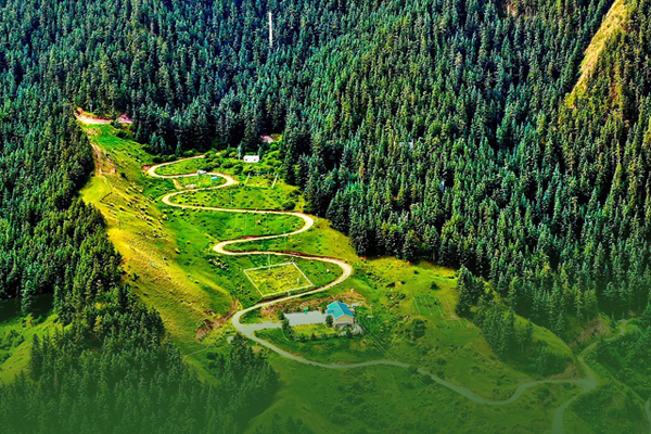 海報(bào)|祁連山保護(hù)區(qū)生態(tài)環(huán)境問題整改全面完成！