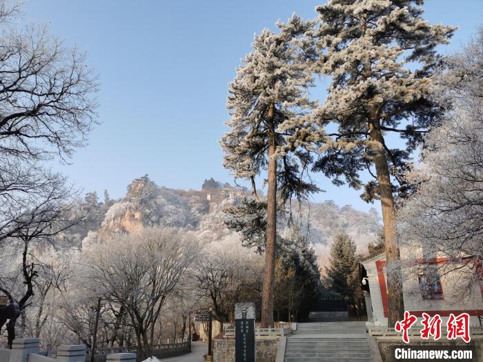 圖為崆峒山霧凇景色美不勝收?！⌒煺袢A 攝
