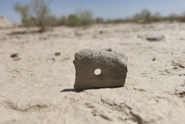 插圖1：河西走廊上遺存的古陶片。攝影：陳曉斌。拍攝日期：2020年6月。