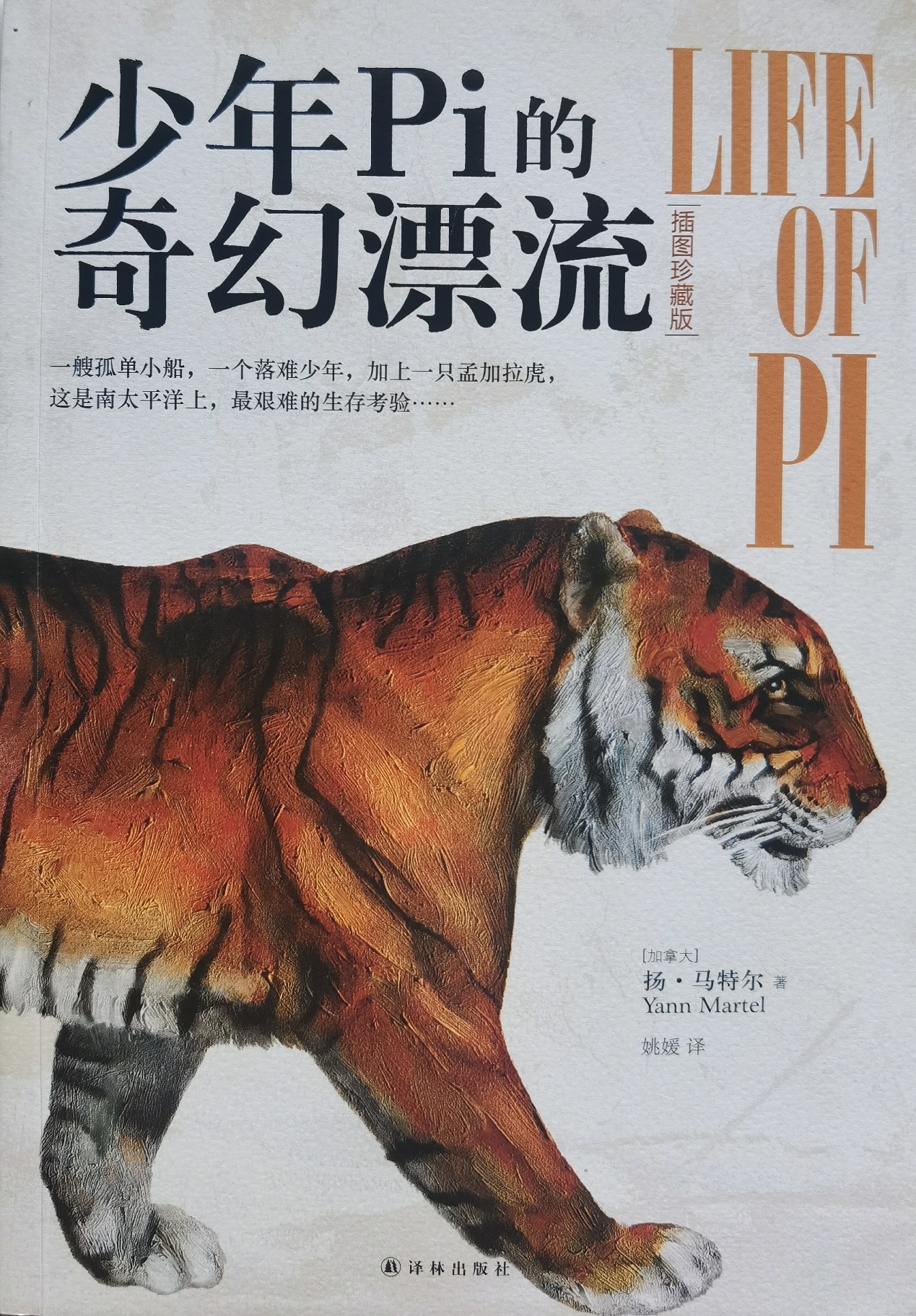 插圖1：揚？馬特爾的小說《少年pi的奇幻漂流》封面