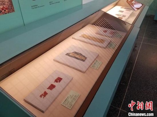 圖為展覽現(xiàn)場?！《鼗脱芯吭汗﹫D