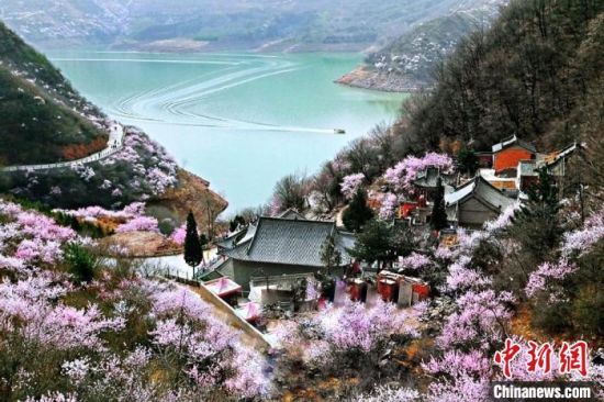 甘肅平?jīng)鍪惺侵袊?guó)優(yōu)秀旅游城市。圖為平?jīng)鲠轻忌较率锾一ㄊ㈤_。(資料圖) 平?jīng)鍪形麄鞑抗﹫D