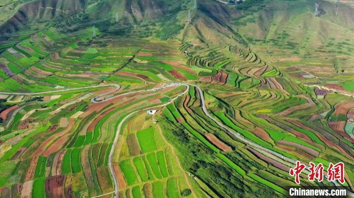 秋日里，榆中縣馬坡鄉(xiāng)千畝梯田，不同農(nóng)作物漸趨成熟，呈現(xiàn)出多種色彩，宛若大地的“調(diào)色盤”?！圆?攝