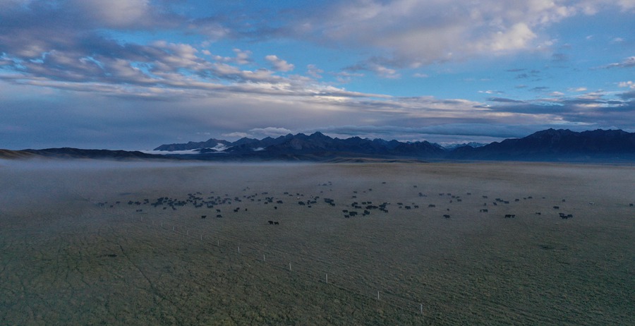 甘肅山丹馬場：峽谷云霧似仙境。 王超攝