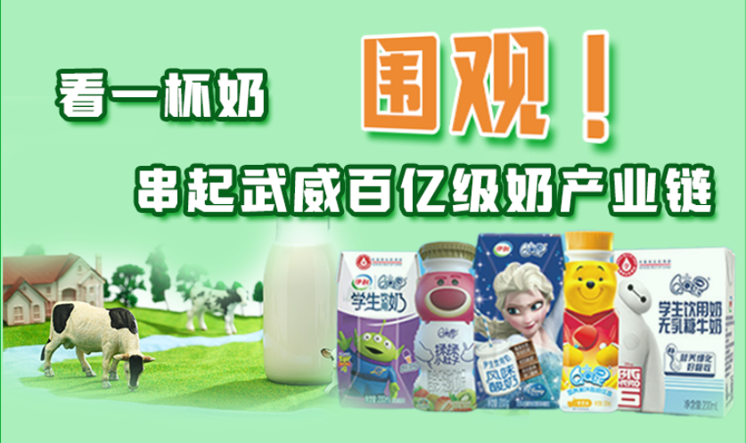 圖解|圍觀！看一杯奶串起武威百億級(jí)奶產(chǎn)業(yè)鏈