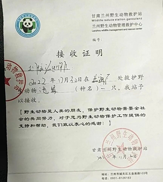 受到救助的池鷺被蘭州野生動(dòng)物保護(hù)站接收。（蘭州市公安局七里河分局供圖）