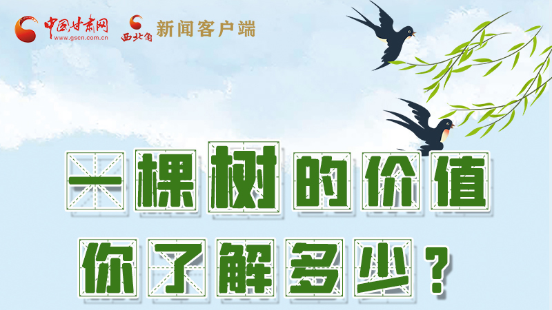 圖解|一棵樹(shù)的價(jià)值你了解多少?來(lái)看！