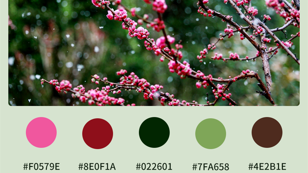 微海報|收藏！色卡里的春日甘肅