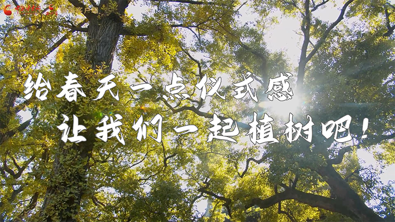 短視頻|給春天一點(diǎn)儀式感，讓我們一起植樹吧！