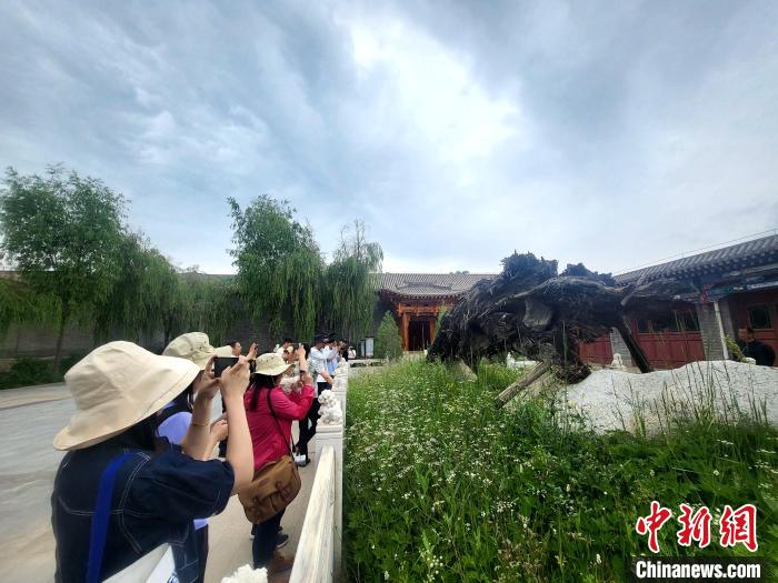 圖為媒體記者在青海永錄民俗參觀采訪?！⊙Φ?攝