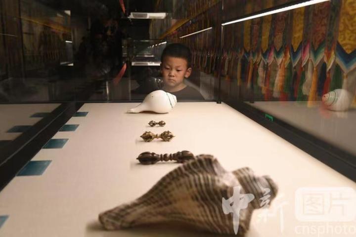圖為展出的“白海螺法器”吸引小觀眾。 中新社記者 戴文昌 攝