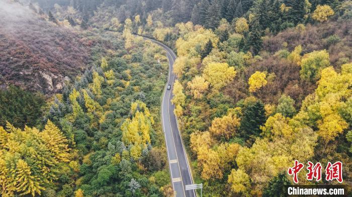 深秋，航拍位于蘭州市榆中縣的興隆山，景色如畫。金峯 攝</p>
<p>