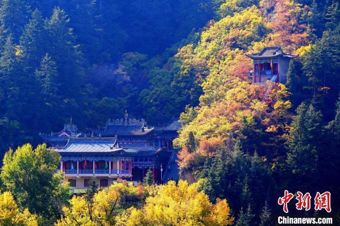 深秋，位于蘭州市榆中縣的興隆山景色如畫。宮衛(wèi)紅 攝