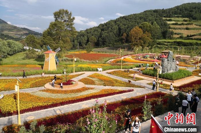 圖為航拍甘肅甘南臨潭縣八角鎮(zhèn)，花海吸引游人。(資料圖)高展 攝