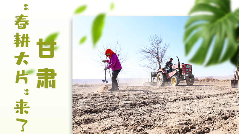 【甘快看】海報|瞧！甘肅“春耕大片”來了